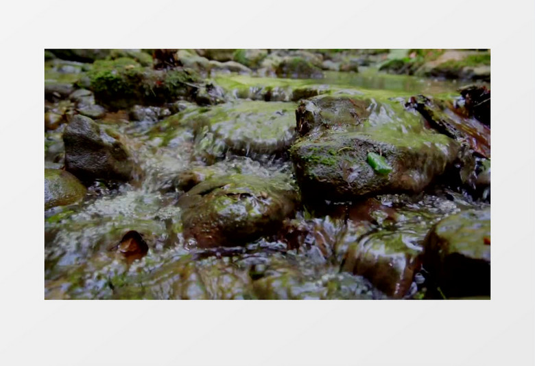 水流在布满青苔的石头上流动实拍视频素材