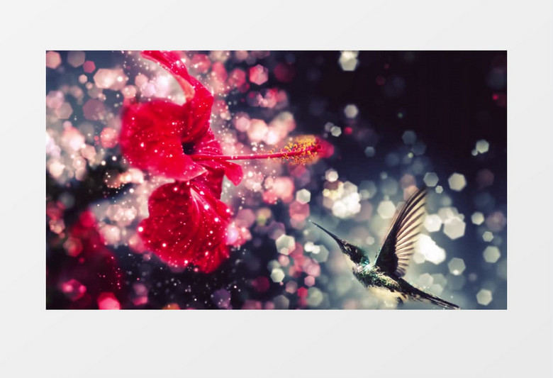 唯美光斑动态背景视频