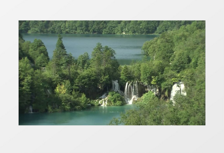 大气安静绿色树林展示混剪视频背景