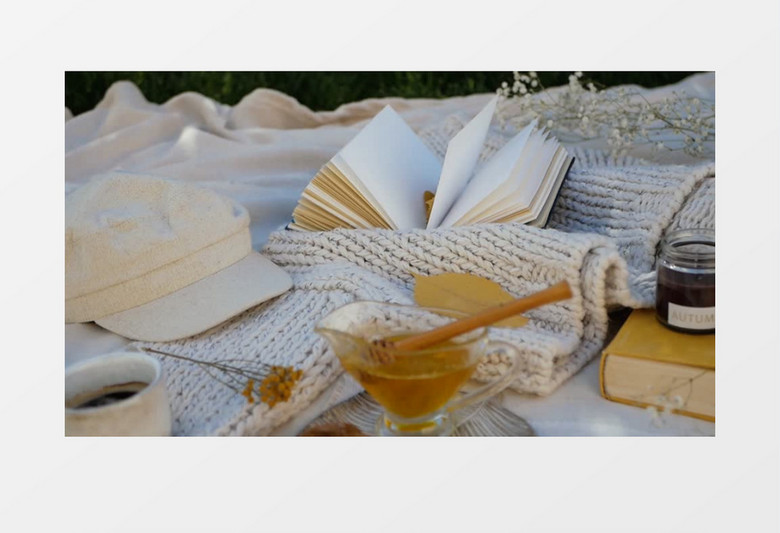 野餐布上的蜂蜜和书本实拍视频素材