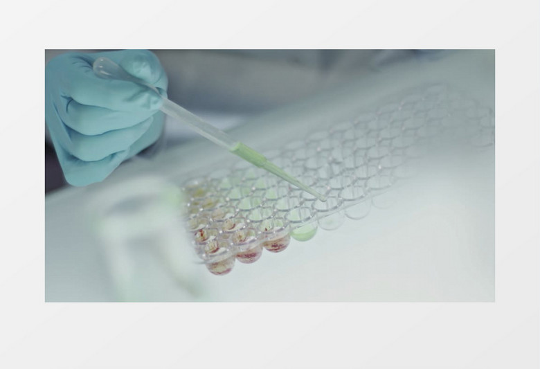 医生在培养板中滴入绿色液体实拍视频素材