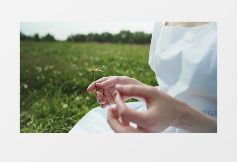侧面拍摄白裙女人坐在草地上揪花瓣实拍视频素材