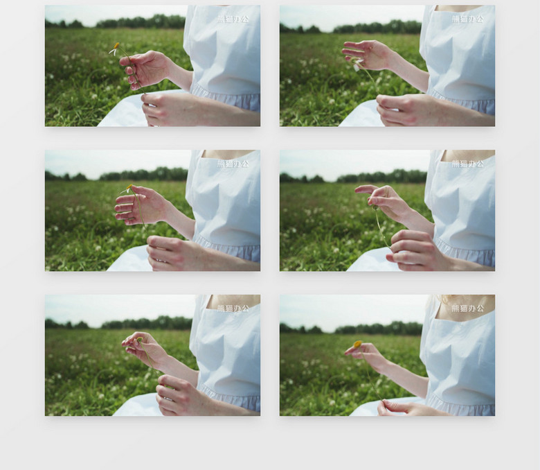 侧面拍摄白裙女人坐在草地上揪花瓣实拍视频素材