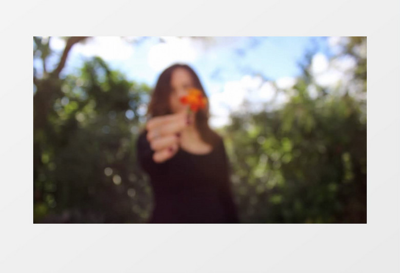 虚实结合拍摄拿着花朵的女人实拍视频素材