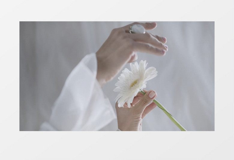 白衣女人在揪花瓣实拍视频素材下载 Mp4格式 4096 2160像素 熊猫办公 白衣女人在揪花瓣实拍视频素材下载 Mp4格式 4096 2160像素 熊猫办公