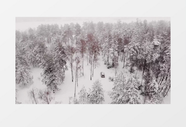 俯拍在雪林中缓缓行驶的汽车实拍视频素材