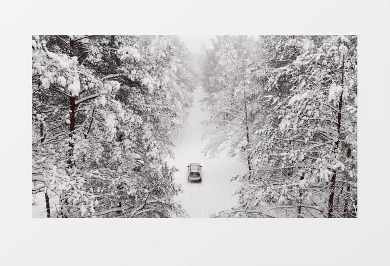 在雪林中行驶的汽车实拍视频素材