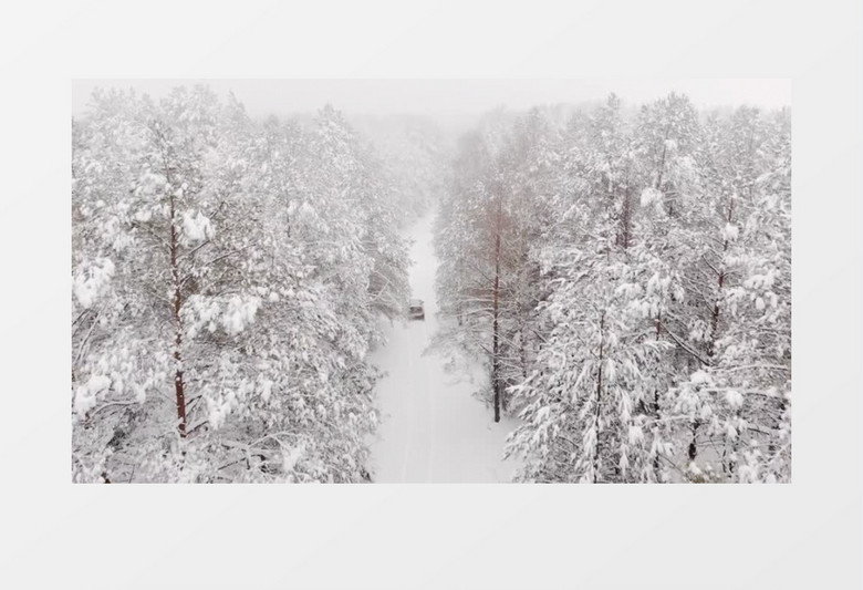 实拍汽车在雪林中间的道路上缓慢行驶实拍视频素材