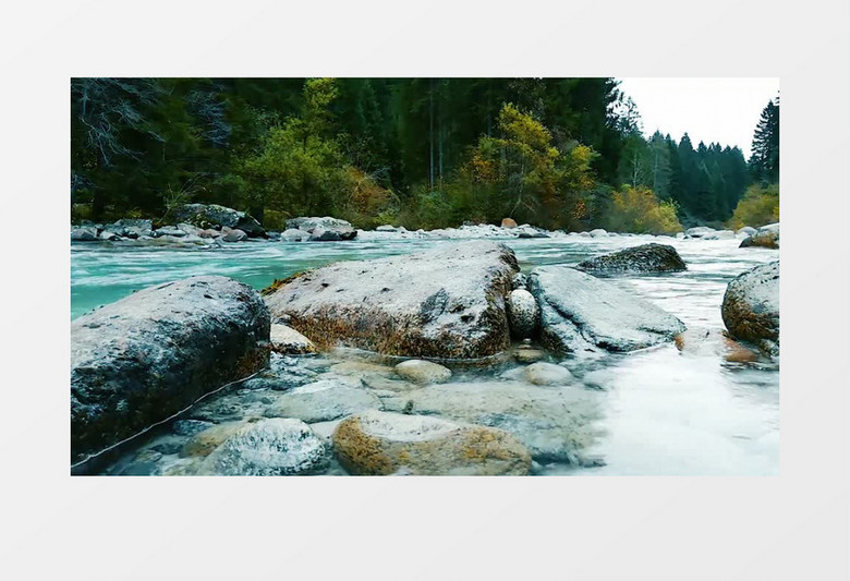 实拍郊外小溪潺潺的流水实拍视频素材