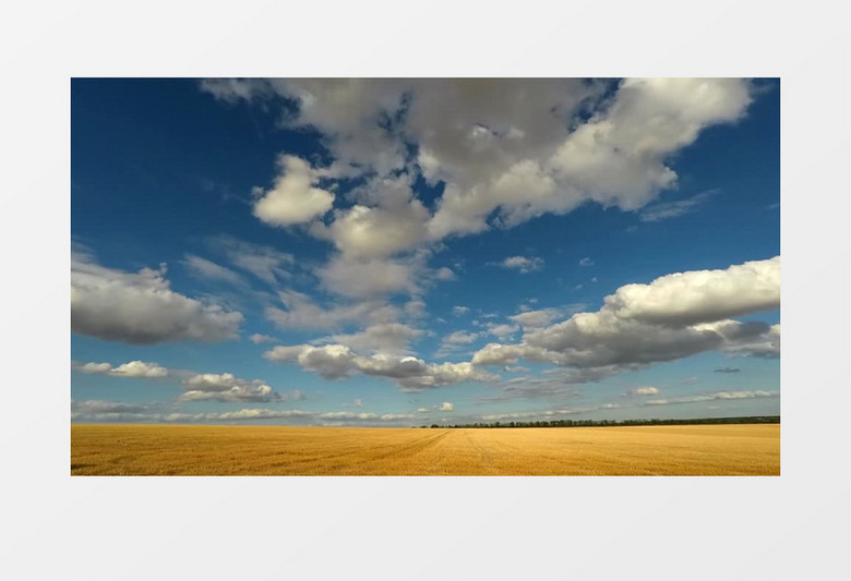 延时拍摄成熟麦田上方的天空变化延时拍摄视频素材