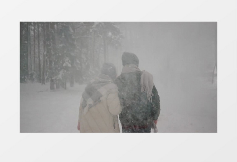一对情侣牵着狗相拥走在下雪的树林里实拍视频素材