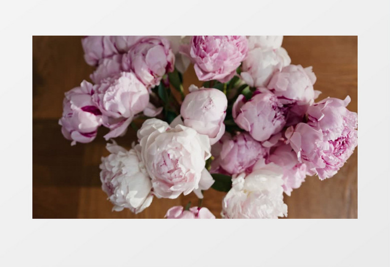 花艺师把一把粉色鲜花插在花瓶里实拍视频素材