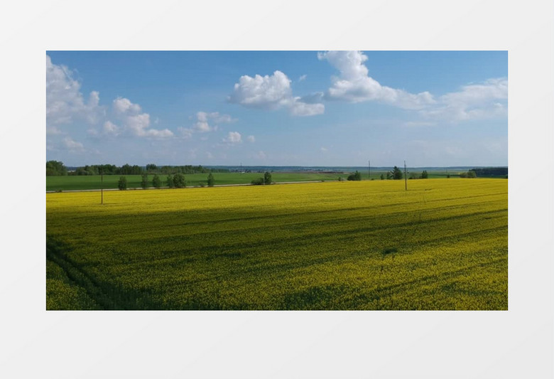 航拍平原上种植的农作物实拍视频素材