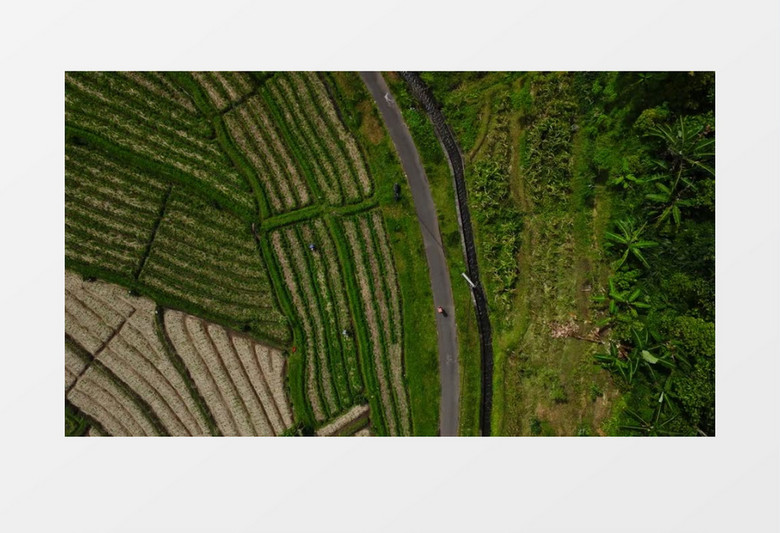 航拍田野中间弯曲的小路实拍视频素材