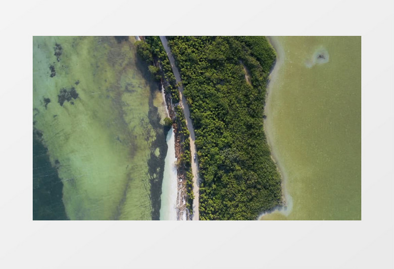 高清航拍地面的湖泊和道路两侧的植被实拍视频素材