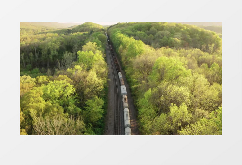 高清航拍森林中间的火车实拍视频素材