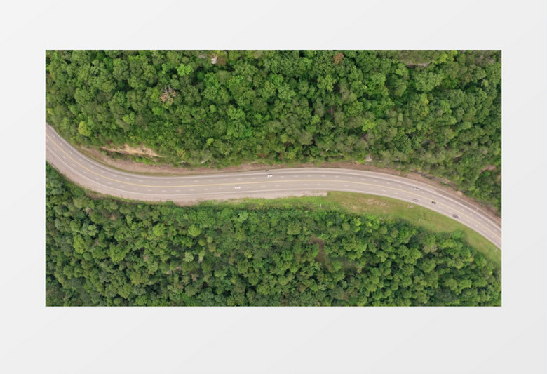高清航拍森林中弯曲的道路实拍视频素材