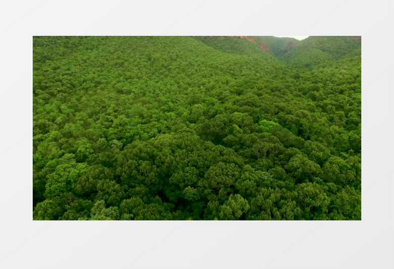 航拍大山里数不清的绿色植被实拍视频