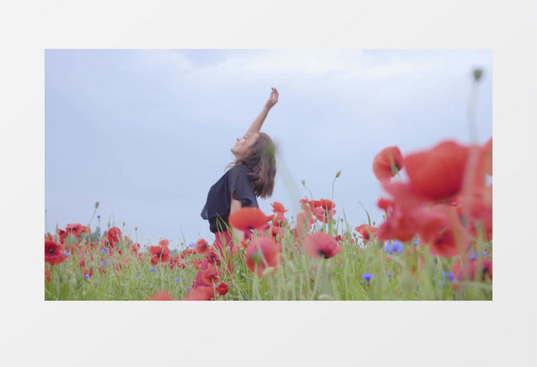 美女在花海中翩翩起舞实拍视频