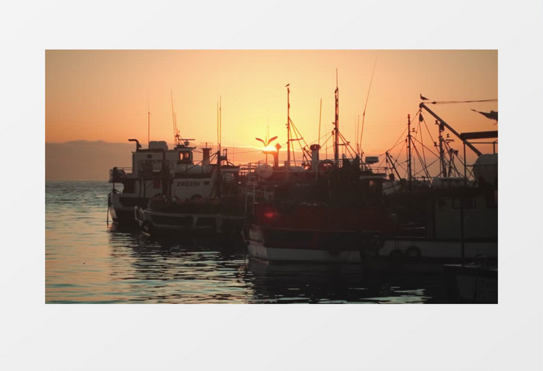 日落时港口的船上有海鸥驻足实拍视频