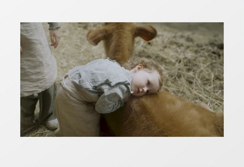 小女孩趴在小牛的背上实拍视频
