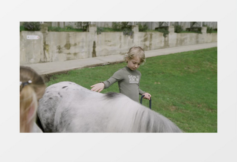 小男孩跟小女孩正在抚摸一只马实拍视频
