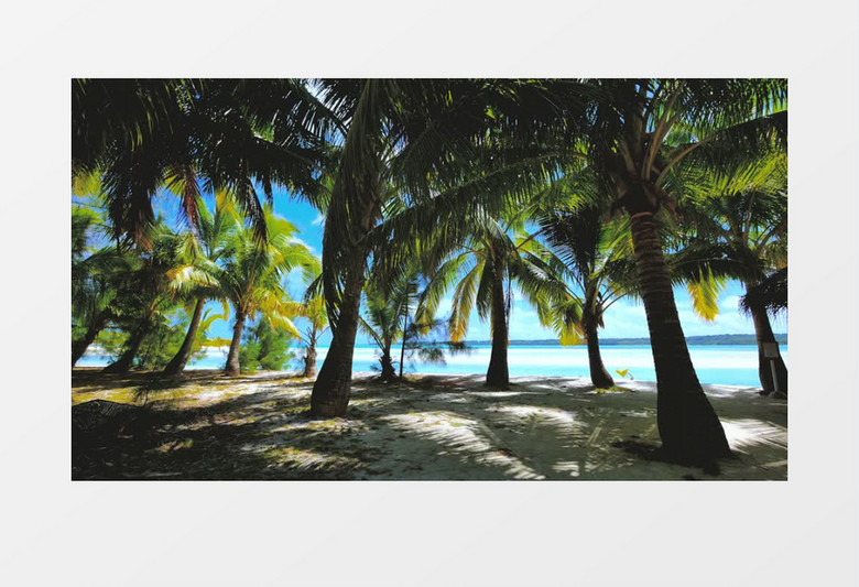 海边椰树热带风情实拍视频