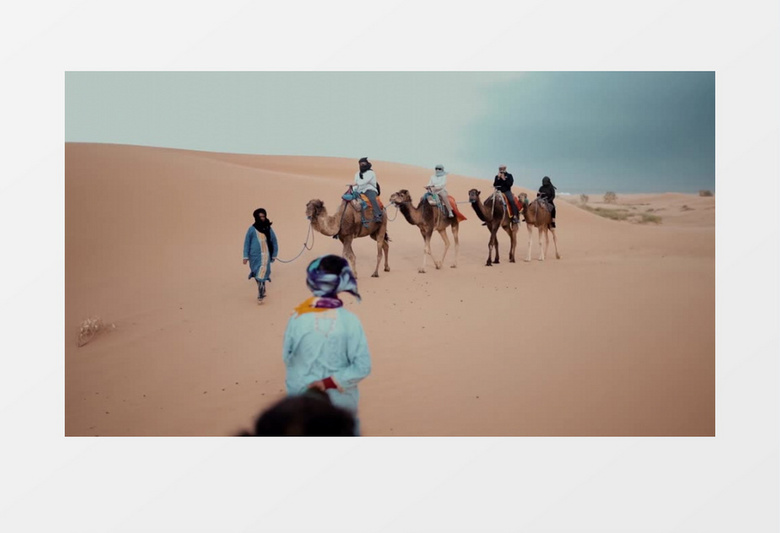 沙漠里有一队骆驼商队实拍视频
