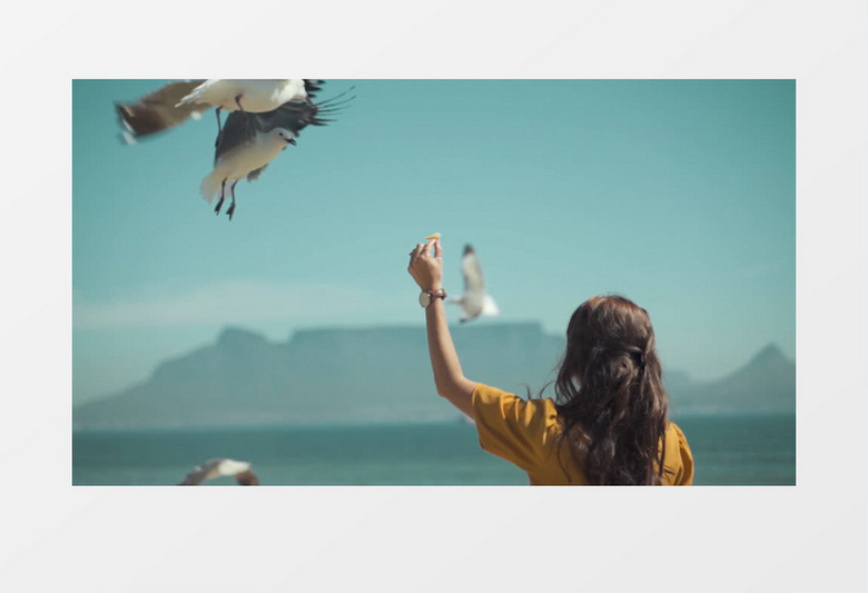 海鸥叼走女孩手上的面包实拍视频