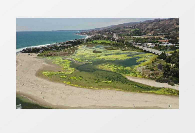 高清实拍海边的绿洲和交通实拍视频素材