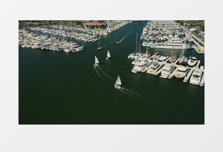 实拍几艘帆船在水面上行驶实拍视频素材