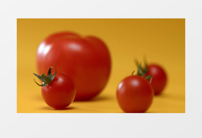 西红柿和圣女果对比实拍视频素材