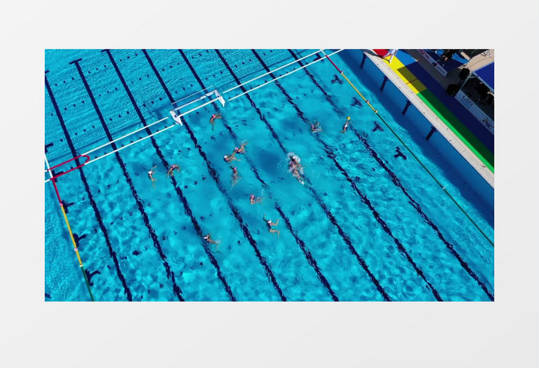 一群运动员们在泳池打水球实拍视频素材