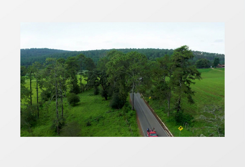 被绿植包裹的道路实拍视频素材