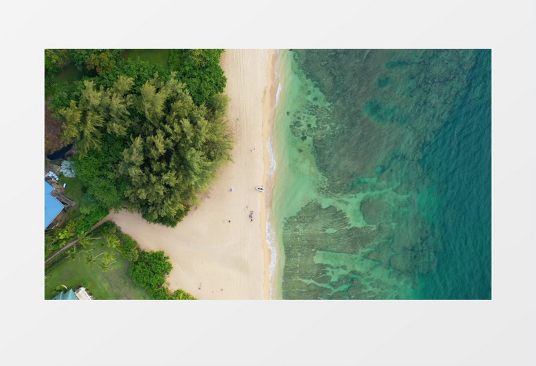 实拍岸边和大海底部的景象实拍视频素材