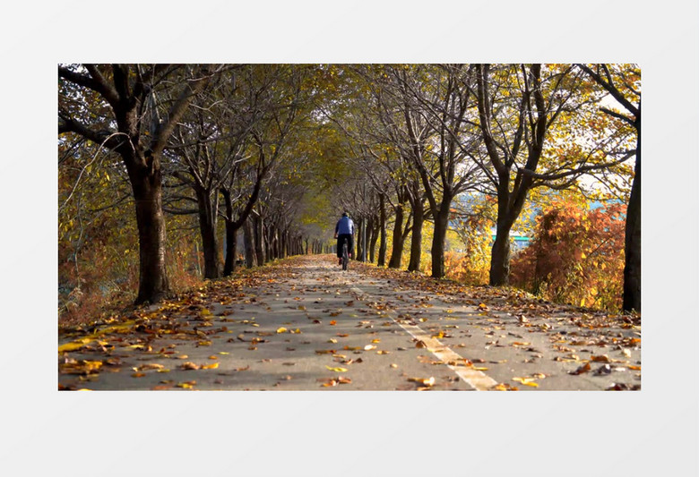 骑行者在秋日的早上在道路上骑行实拍视频素材