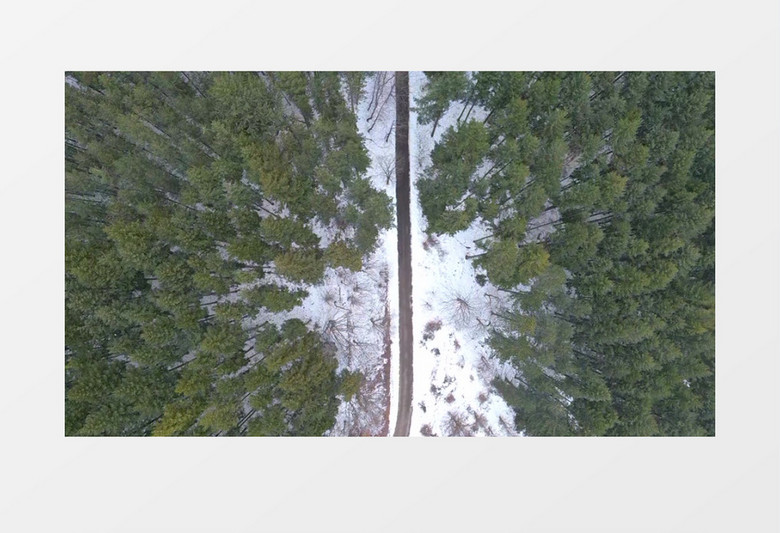 航拍森林里被雪覆盖的景象实拍视频素材