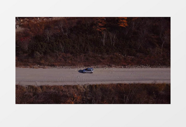 汽车在枯黄的丛林道路中行驶实拍视频素材