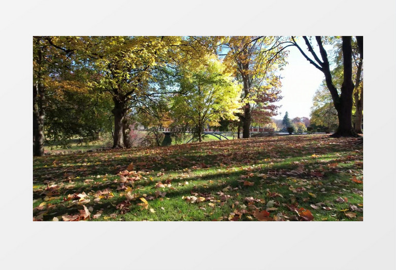 实拍公园的绿草地和小河景象实拍视频素材