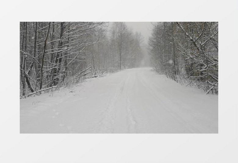 飘落的雪花覆盖了森林中的小路实拍视频素材