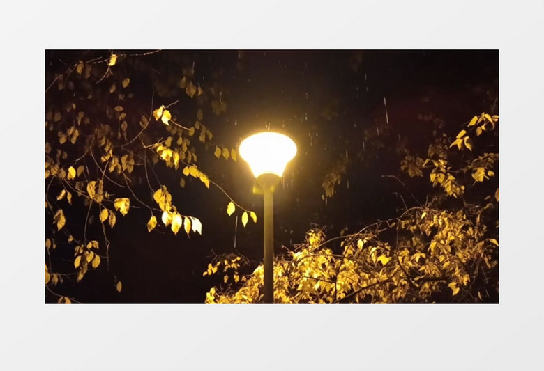 雨中的路灯实拍视频素材