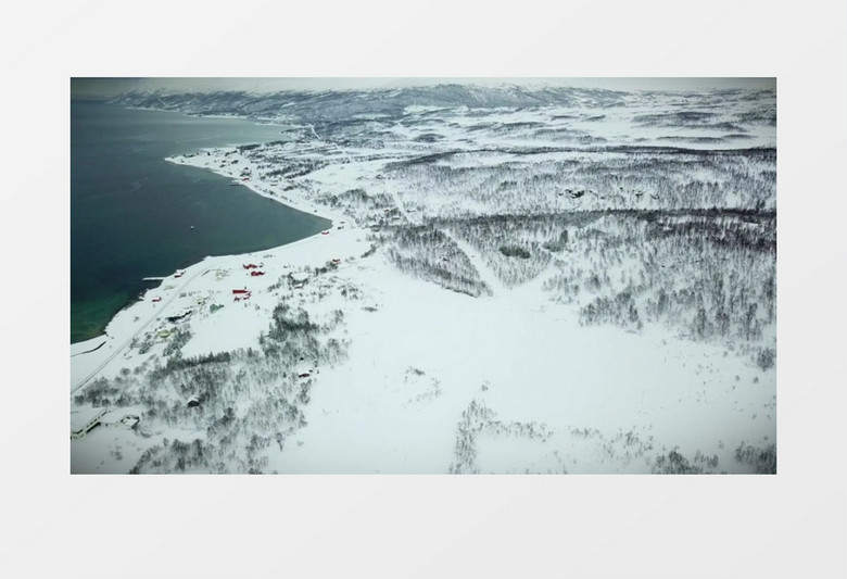 覆盖大地被雪覆盖的丛林实拍视频素材