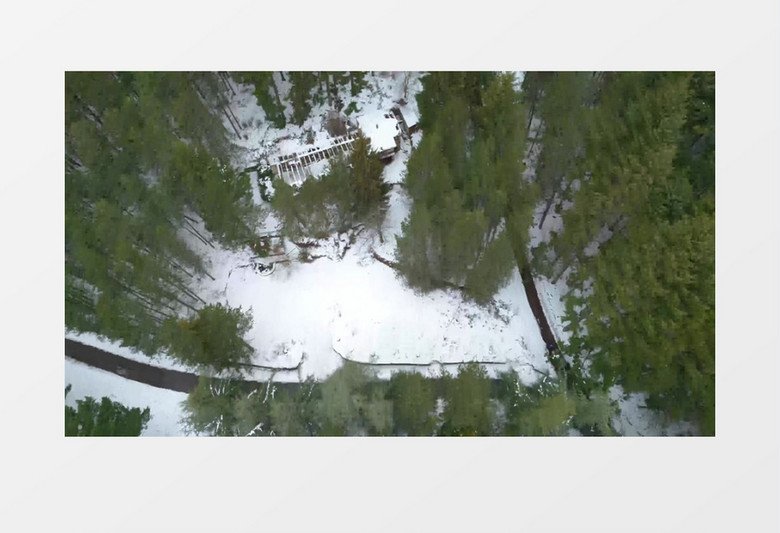 俯拍雪后的森林景色实拍视频素材