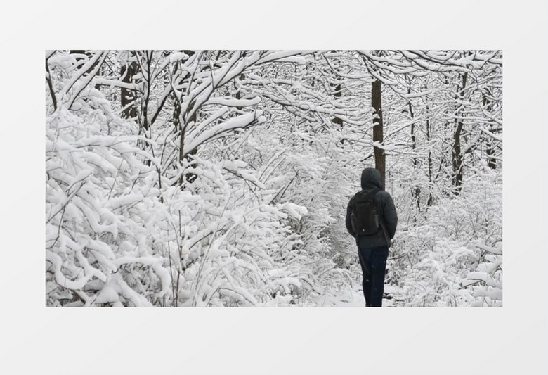 冬季男人行走在冰雪丛林中实拍视频素材