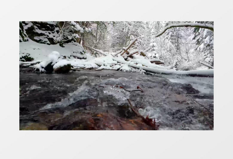 潺潺的溪水在冰雪丛林中流动实拍视频素材