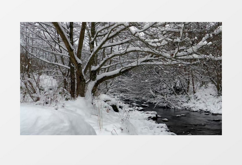 冬季被覆盖的森林和林中的小溪景色实拍视频素材