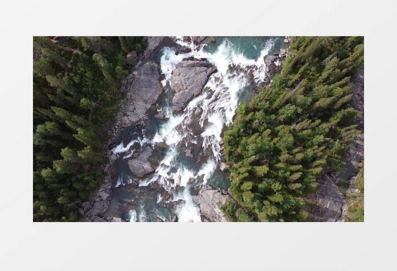 俯瞰森林中间湍流的河水实拍视频素材