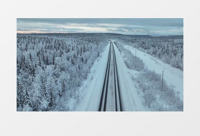 航拍被大雪覆盖的树林景象实拍视频素材