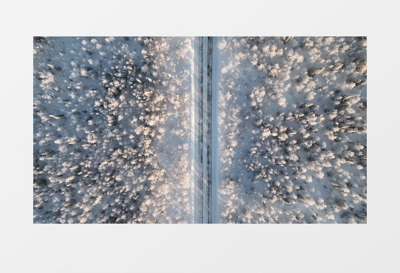 冬季白皑皑的大地实拍视频素材