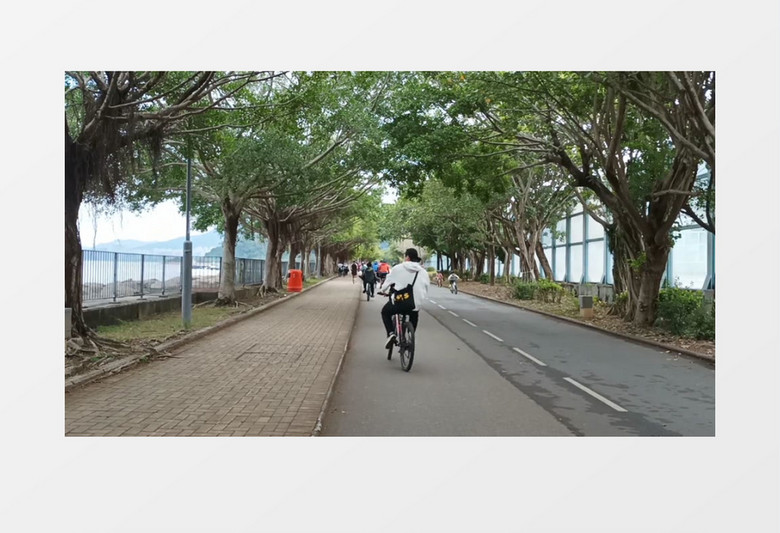 一群人在公园的道路上骑行实拍视频素材